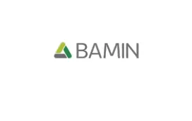Bamin